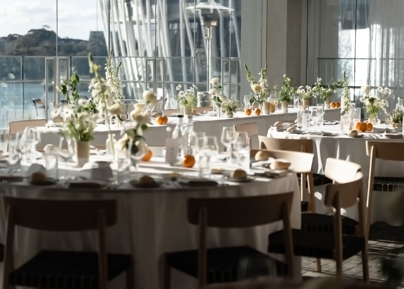 Linda & Juanma for 12 Micron