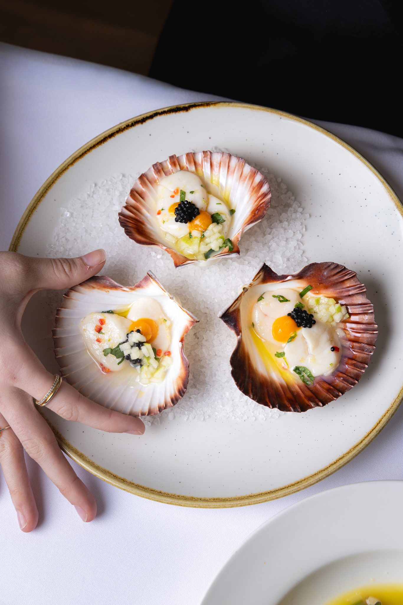 FOOD SHOT (for menu section)(1)-opti