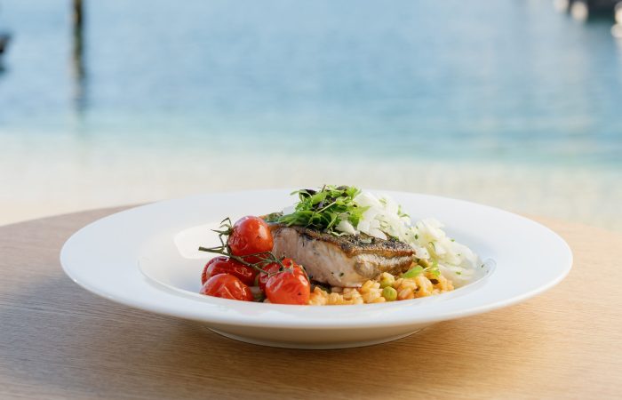 Orso_Menu-Tasting_2026_Gus-Sydney-Photo_85-opti
